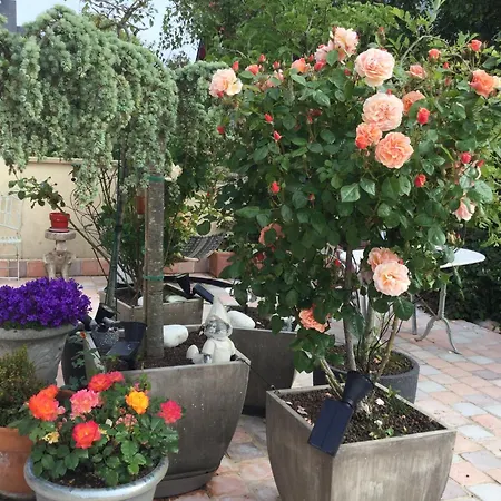 Terrasse Face *