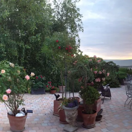 Terrasse Face